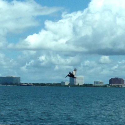 MonetJean6's profile picture. free spirited, love baseball