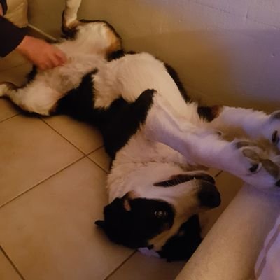 mfprovence's profile picture. 