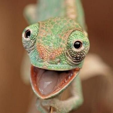 alexk2017rus's profile picture. только хорошее