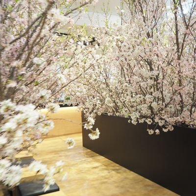 rie__0211's profile picture. 