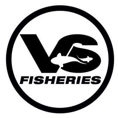 Dedicated Carp farm that supplies quality home bred carp to the UKs carp fisheries. Phone 07843306661 Mail info@vsfisheries.co.uk