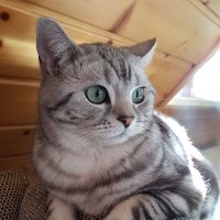 Iris_vanO (@iris_vo) 's Twitter Profile