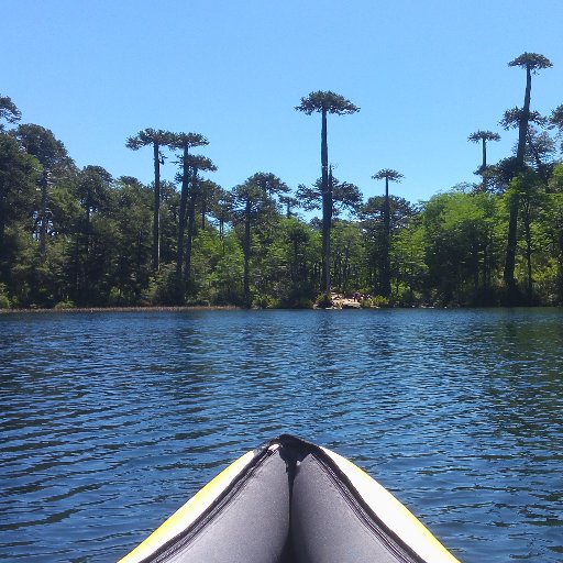 seconquin's profile picture. Nacido en Coronel a 332.20 ppm de CO2 y criado en población. Científico y doctor interesado en conocer y estudiar  cambios ambientales y climáticos.