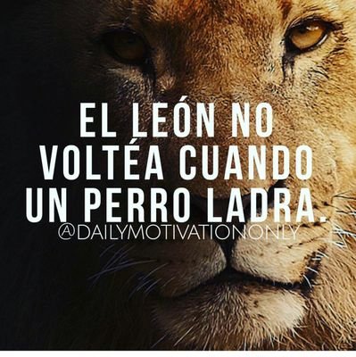 JoseZal66583621's profile picture. 