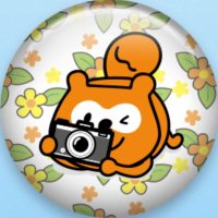 忍冬(スイカズラ)(@N_Kcell) 's Twitter Profile Photo