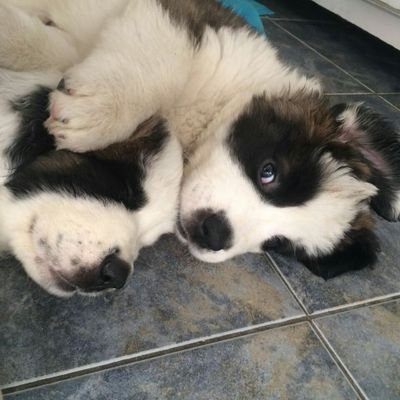 EVENTURACH's profile picture. EL PAIS REQUIERE SOLUCIONES, EL PUEBLO ABRIGA ESPERANZAS DE CAMBIO. QUEREMOS VIVIR EN PAZ, LIBERTAD Y DEMOCRACIA.