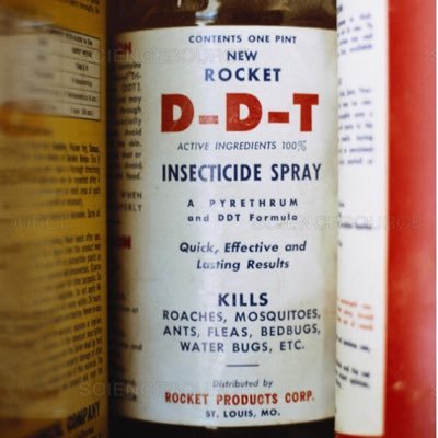 DDT DDT JapaneseClass.jp