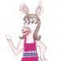 A Wonkey Donkey (@awonkeydonkey) 's Twitter Profile