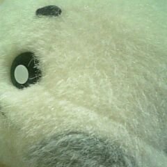 meeeeeeerry's profile picture. 好きなものを好きと言える正直な人生の為に。