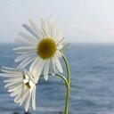 Margarida Gomes Leal - @MargaridaGLeal - Twitter