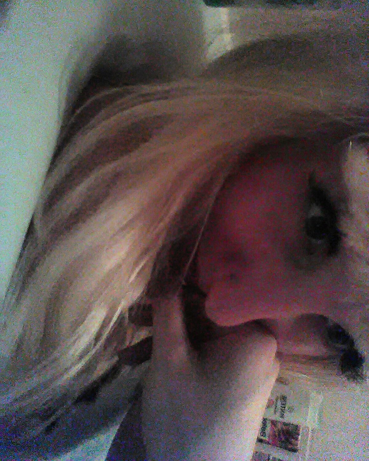 TessPospisilov1's profile picture. Artist

...
Crazy girl who loves @RoadTripTv
#ROADIE
#czechgirl
My instagram: @blondataprincezna