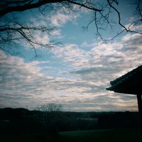 リンネ (@o_fvpz) 's Twitter Profile