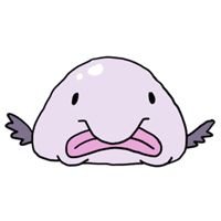 EYdCQFugPOCRKky's profile picture. 中学2年剣道部です。アニメが色々好き。無言フォローすみません😣💦