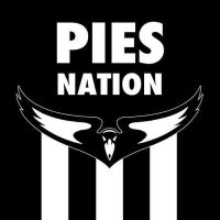 PiesNation(@PiesNation) 's Twitter Profile Photo
