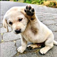 sinus (@sinus) 's Twitter Profile