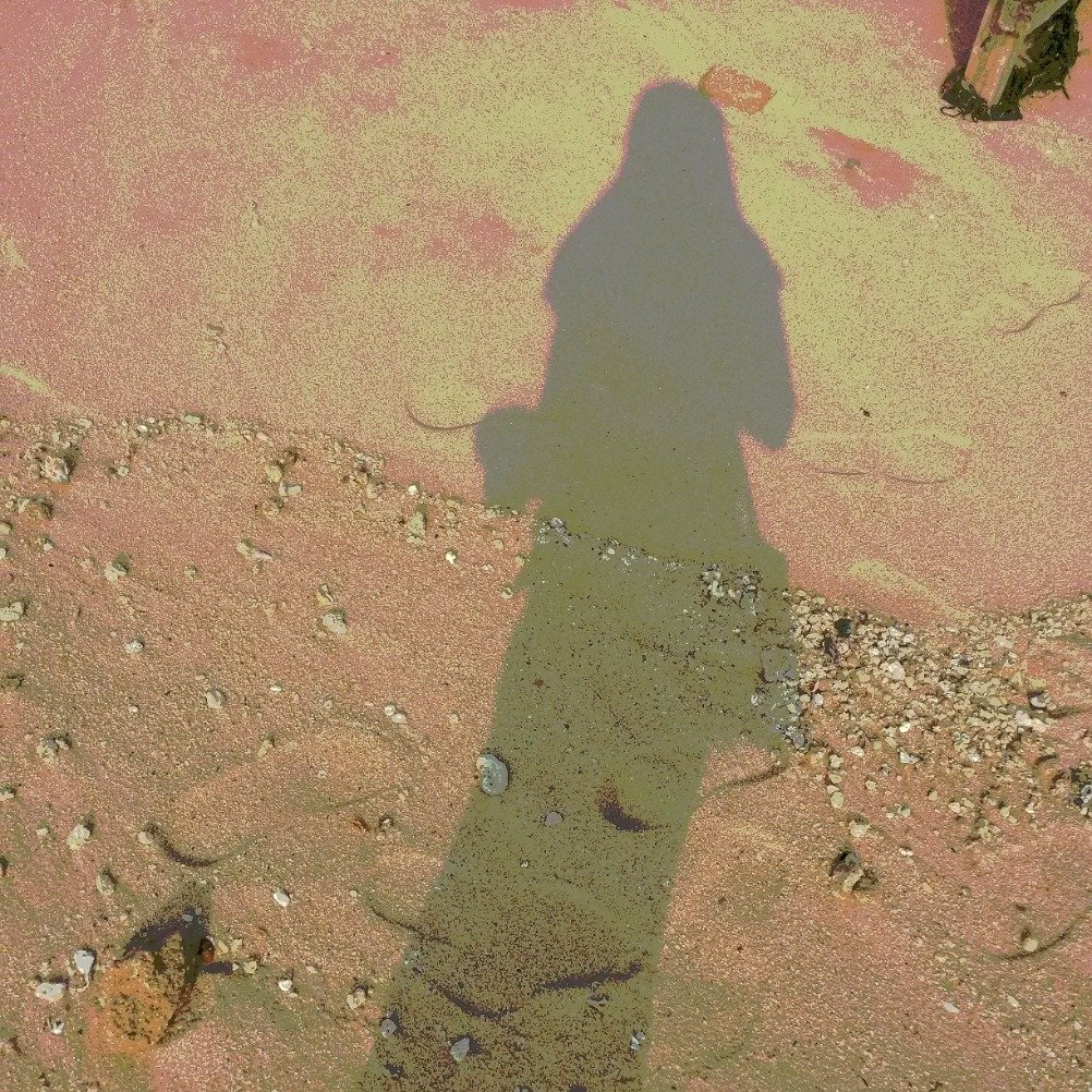 ghinaasalr's profile picture. 