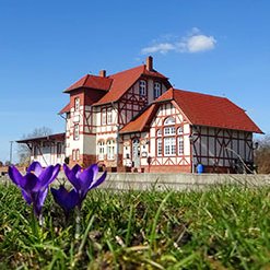 Bei uns gibt es gut bürgerliche Küche in schöner Lage direkt an der #Peene. Wir bieten #Mittagessen #Abendessen #Catering #Buffet, Familien- und #Betriebsfeiern