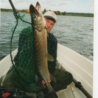 Erik Olstad (@erikolstad1) 's Twitter Profile