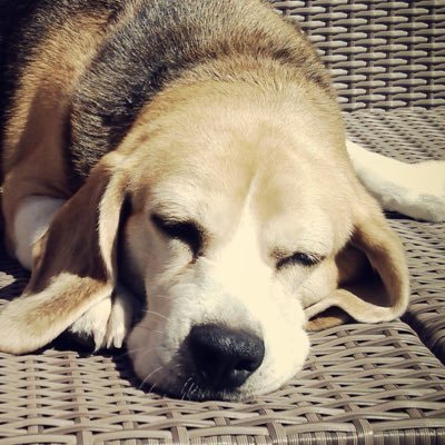 arumbambaya's profile picture. No soy buena para describirme con palabras, así que... 👩‍💻👩‍🍳🕵️