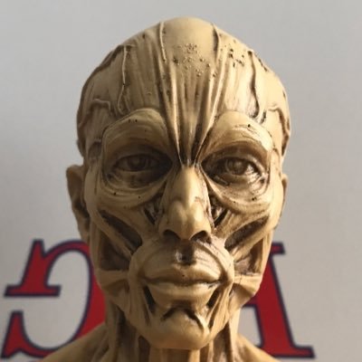 adamdesignr's profile picture. 