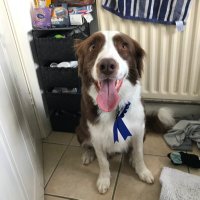 Joel Watson (@is_that_joel) 's Twitter Profile