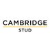 Cambridge Stud (@CambridgeStud) Twitter profile photo