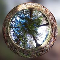 PLAID ProjectManager (@plaidmanager) 's Twitter Profile