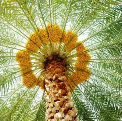 1AQms7XCIsPPS3k's profile picture. 