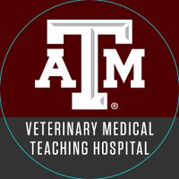 Texas A&M Veterinary Hospital (@tamuvmth) 's Twitter Profile