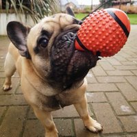 CliveFrenchie(@CliveFrenchie) 's Twitter Profile Photo