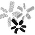Cooperative Trust (@thecooptrust) Twitter profile photo Cooperative Trust (@thecooptrust) Twitter profile photo