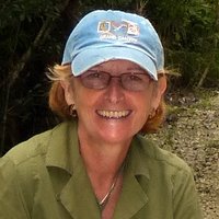 Christine Rose-Smyth - VerdantIsleOrchids (@verdantisleor) 's Twitter Profile Photo Christine Rose-Smyth - VerdantIsleOrchids (@verdantisleor) 's Twitter Profile Photo