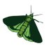 Green Underwing (@greenunderwing) Twitter profile photo
