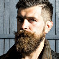 BeardBro (@getthebeard) 's Twitter Profile