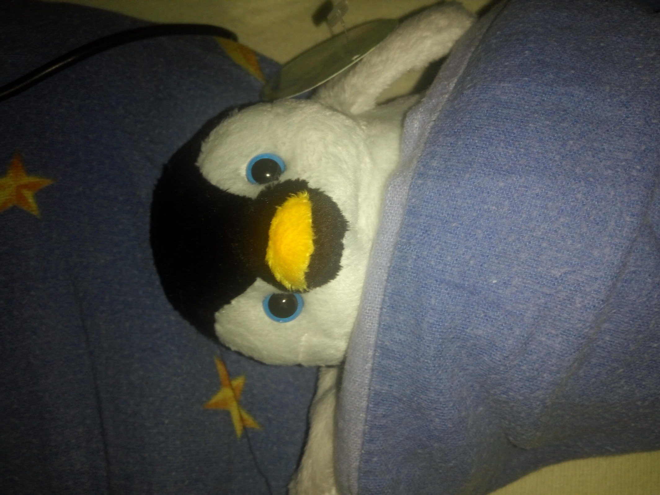 teslan's profile picture. STRATCOM = PSYOP = PR = Hasbara = Propaganda