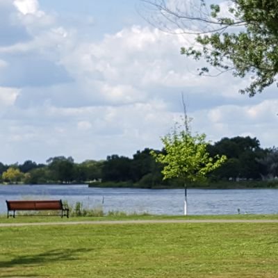 greene_n's profile picture. 