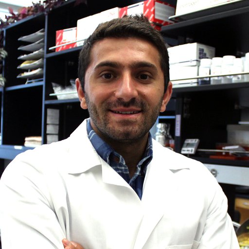 Scientist interested in hematological malignancies. Director, hematology/oncology drug discovery, Incyte