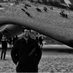 Tasteslikehipster (@thomshortall) Twitter profile photo Tasteslikehipster (@thomshortall) Twitter profile photo