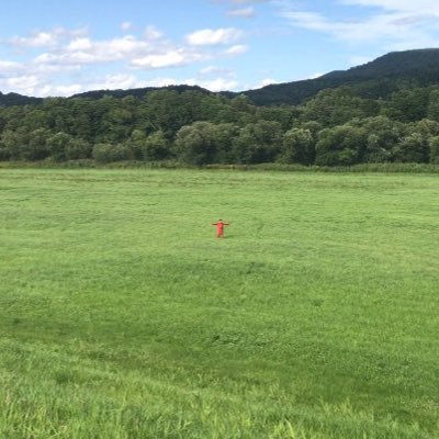 FarmTomo's profile picture. 北海道で1番小さい村、音威子府(おといねっぷ)村にある唯一の牧場。村内のジェラート屋さんの直営牧場です。2017年新規就農。大自然の中で牛たちが放牧されています。農業委員やってます。宿泊施設（@BlueBerryHouse3）もやっています。Dairy farmer in japan