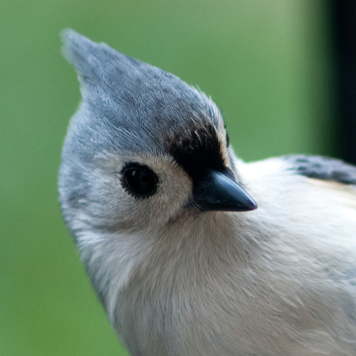 theDiscoverer's profile picture. Love traveling, a bit of adventure, friends and learning new things