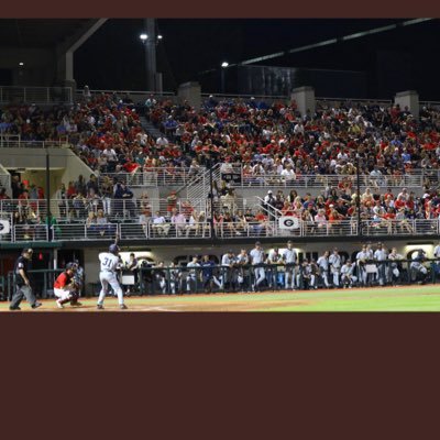WilhiteNick's profile picture. 
