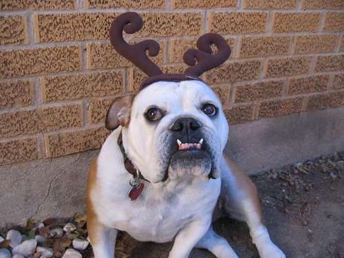 ruby_diamond43's profile picture. 