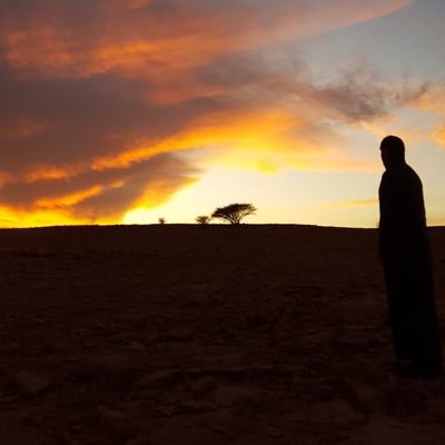 snapadma11's profile picture. ناشط في مجال الصحه والرياضه
أحب الطبخ وفنونه 🥘
طبخاتي ووصفاتي عالانستقرام 
خصم ايهيرب  DiL1473