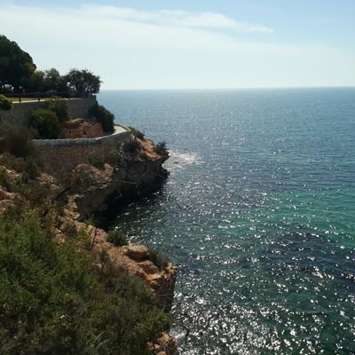 Apartamento Benidorm Profile