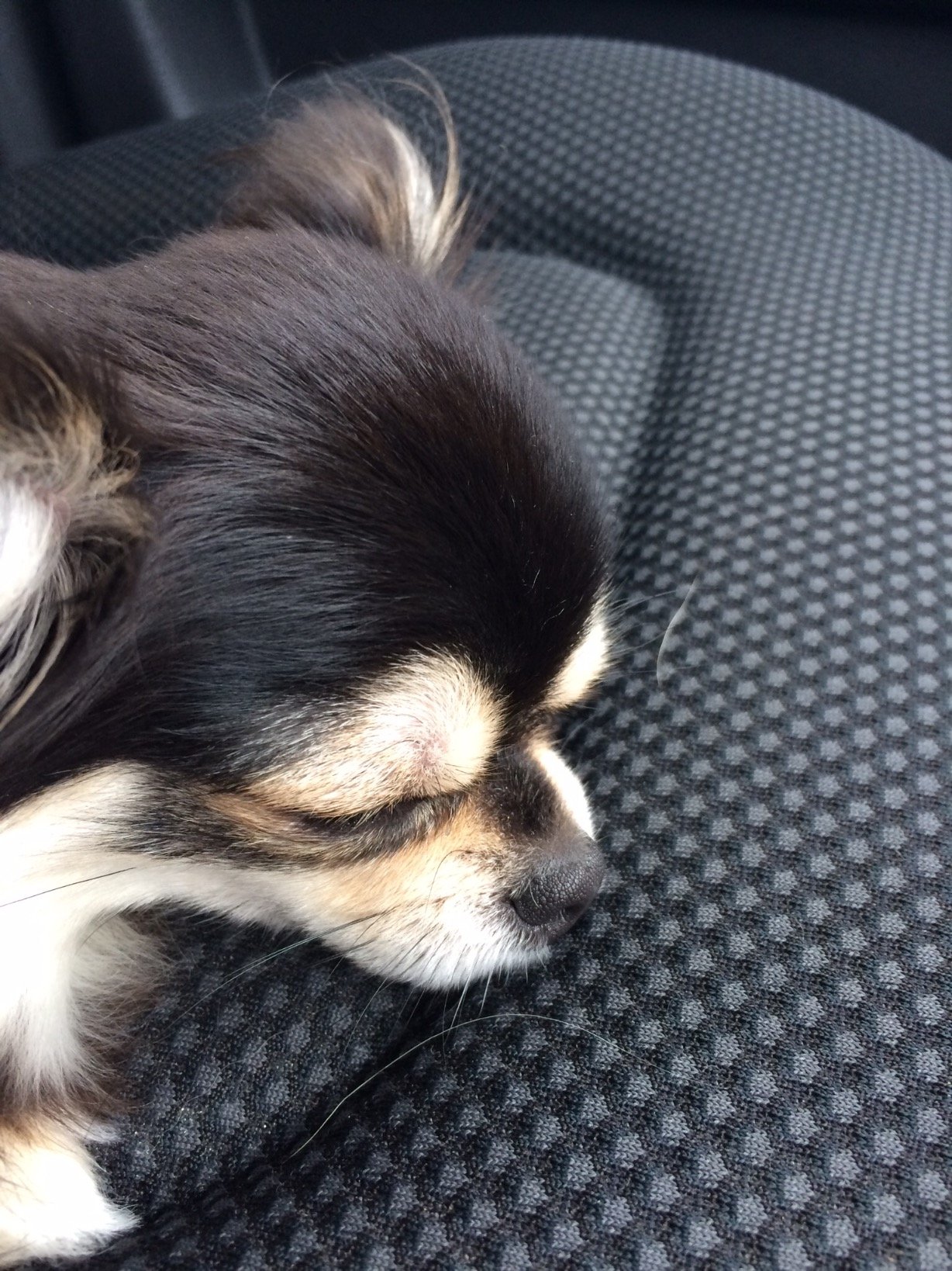 RHZSx6IUoXnwMUA's profile picture. 