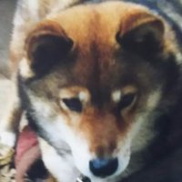 shin℗ (@shin05100602) 's Twitter Profile