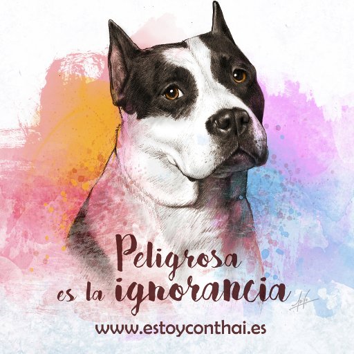 Proyecto