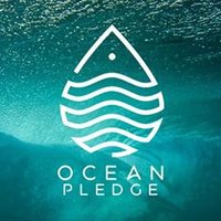 Diony Lalieu (@oceanpledge) 's Twitter Profile