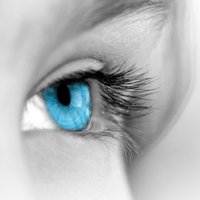 TechnoVisual Education (@technovisualed) 's Twitter Profile