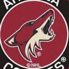 Didtheyyoteswin's profile picture. Probably Not.